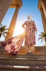 PRINTED LAWN STITCHED 2 PIECE