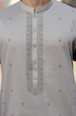 SILVER 100% COTTON PRINTED KURTA