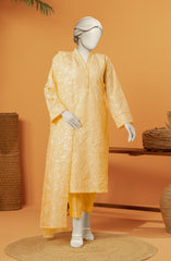 RAW SILK EMBROIDERED STITCHED 3 PIECE