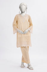 EMBROIDERED PRINTED CAMBRIC STITCHED 2 PIECE