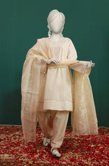 WINTER'23 WOMEN STITCHED 3PC SUIT