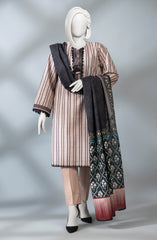 WINTER'23 WOMEN STITCHED 3PC SUIT