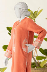 EMBROIDERY WOMEN STITCHED 2PC SUIT