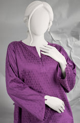 WINTER'23 WOMEN STITCHED 2PC SUIT