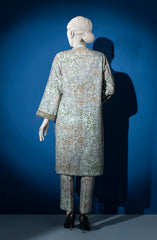 WINTER'23 WOMEN STITCHED 2PC SUIT