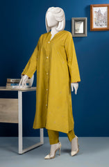 PRE WINTER'23 WOMEN STITCHED 2PC SUIT