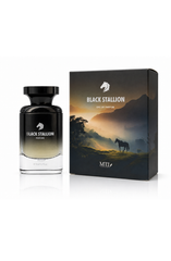 BLACK STALLION