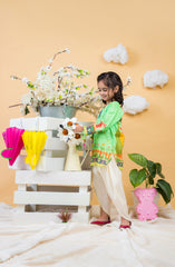 GULISTAN PRINTED 2PC STITCHED SUIT