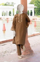 EMBROIDERED CHAMBRAY STITCHED 2 PIECE