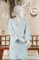 EMBROIDERED CAMBRIC 2 PCS UNSTITCHED