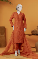 EMBROIDERED RAW SILK 3 PCS UNSTITCHED