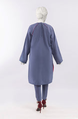 PRE WINTER'23 WOMEN STITCHED 2PC SUIT