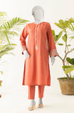 EMBROIDERY WOMEN STITCHED 2PC SUIT