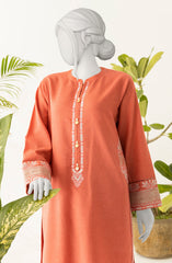 EMBROIDERY WOMEN STITCHED 2PC SUIT