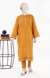 WINTER'24 EMBROIDERED WOMEN STITCHED 2PC SUIT