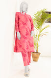 PRINTED WOMEN STITCHED 2PC SUIT