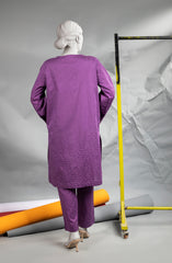 WINTER'23 WOMEN STITCHED 2PC SUIT