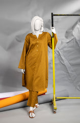 WINTER'23 WOMEN STITCHED 2PC SUIT