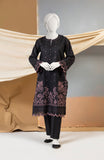 WINTER'23 WOMEN EMBROIDERED STITCHED 2PC SUIT