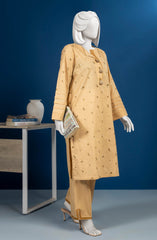 PRE WINTER'23 WOMEN STITCHED 2PC SUIT