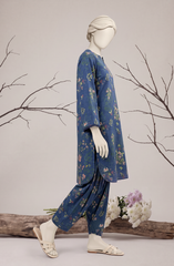 2 PIECE - PRINTED KHADDAR STITCHED