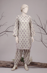 2 PIECE - PRINTED KHADDAR STITCHED