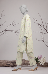 2 PIECE - PRINTED KHADDAR STITCHED
