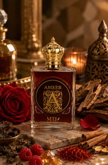 AMEER