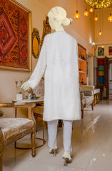 EID FESTIVE'22 1PC STITCHED SUIT