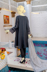 EID FESTIVE'22 2PC STITCHED SUIT