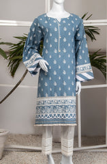 CHIKANKARI LAWN 2PC UNSTITCHED (6965008400558)